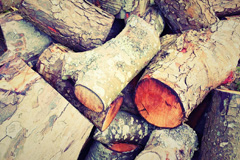 Buckskin wood burning boiler costs